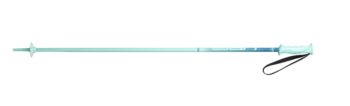 Elan Rockrod Jr Mint