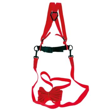 Frendo Alpine Kids Leash