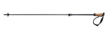 Elan Voyager Rod