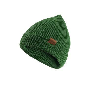 Elan Beanie Cap Green
