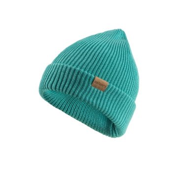Elan Beanie Cap Mint