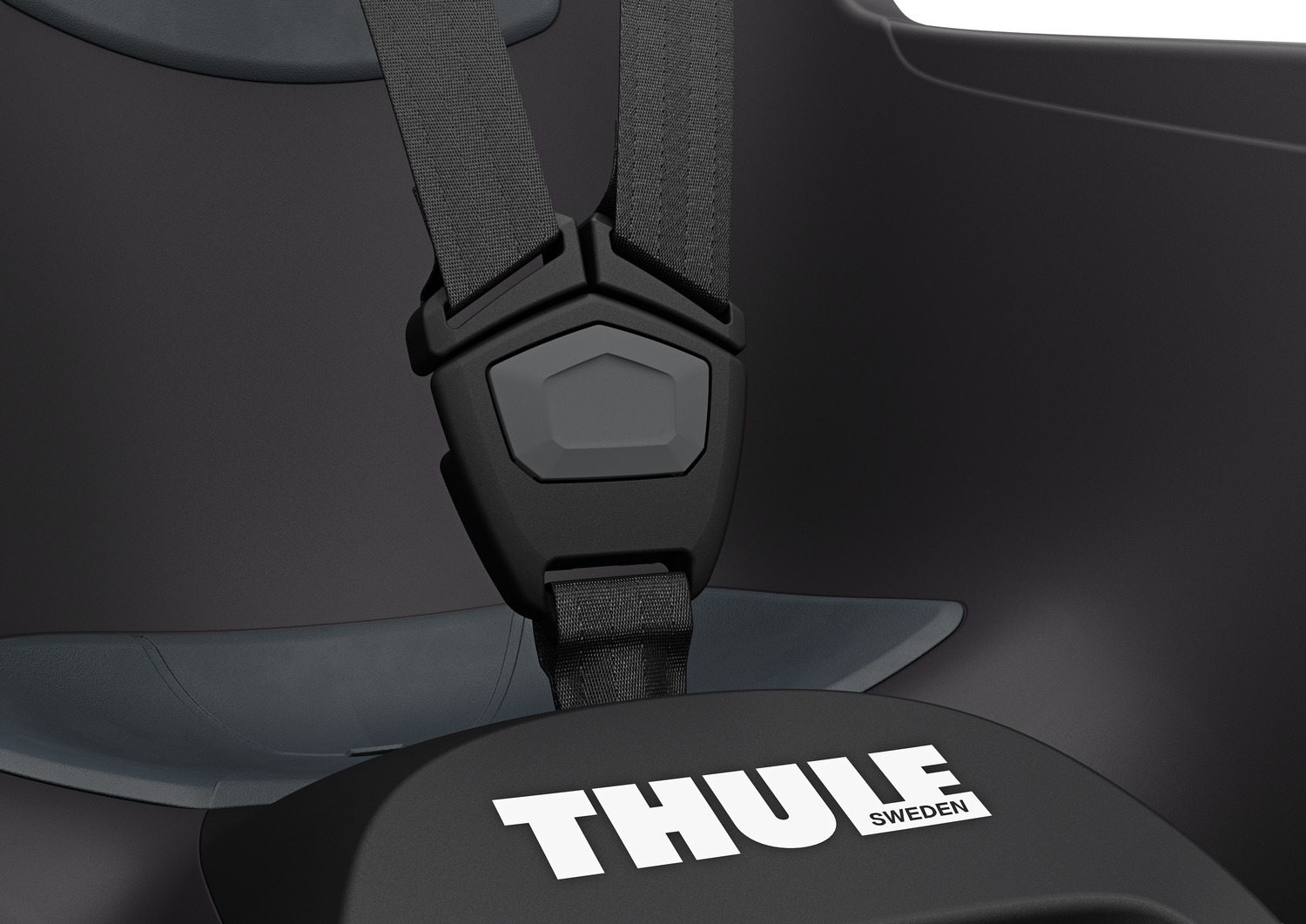 Thule RideAlong Lite 2 - Dark Gray - Pilt 4